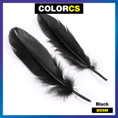 Colorcs [Rady Stocks] BDSM Beginner Premium Set 3-in-1 Set Eyeshade handcuff Feather/ 3in1 set Bulu gari penutup mata / 眼罩手铐羽毛套装
