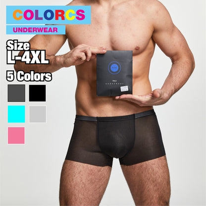 Colorcs [Ready Stock] Breathable Simple Classic Comfy Soft Seamless Boxer / Petinju Lancar Lembut Selesa / 舒适透气贴身内裤
