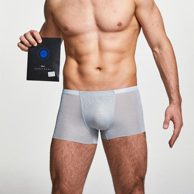 Colorcs [Ready Stock] Breathable Simple Classic Comfy Soft Seamless Boxer / Petinju Lancar Lembut Selesa / 舒适透气贴身内裤